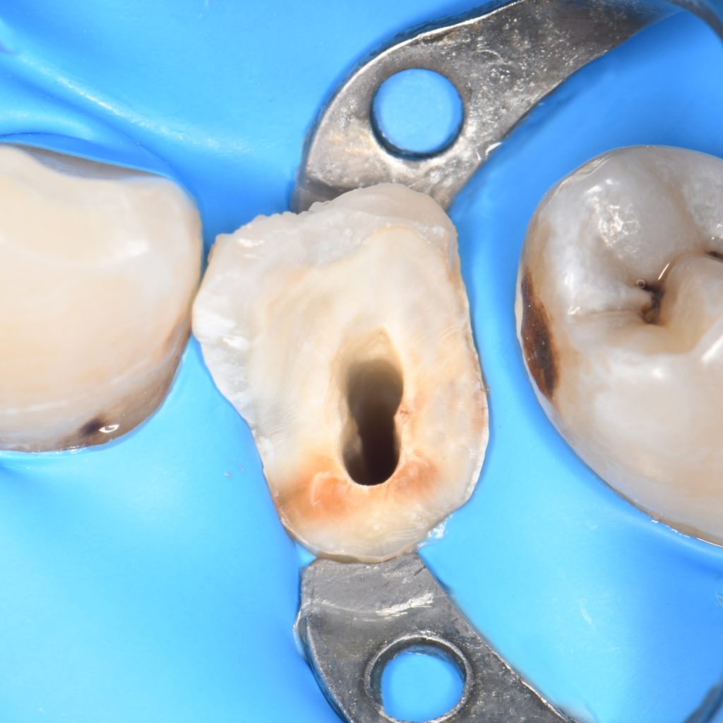 AD1282EF-7006-4580-9BEE-0C50D3C313D1