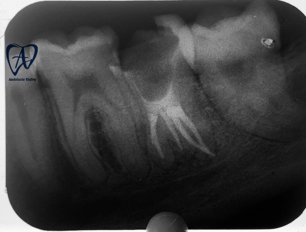 C19A2008-1F3D-49AD-BE05-36C07D9A3599