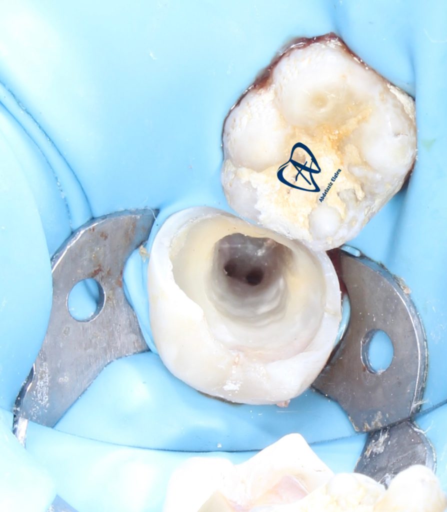 C4E222DF-8DEC-4D4D-9D1A-2AC776907E32