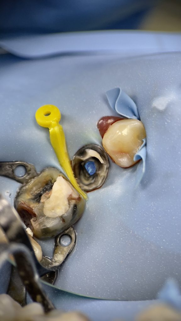 DEF268E4-B757-4370-AFFA-2AABD8688D93