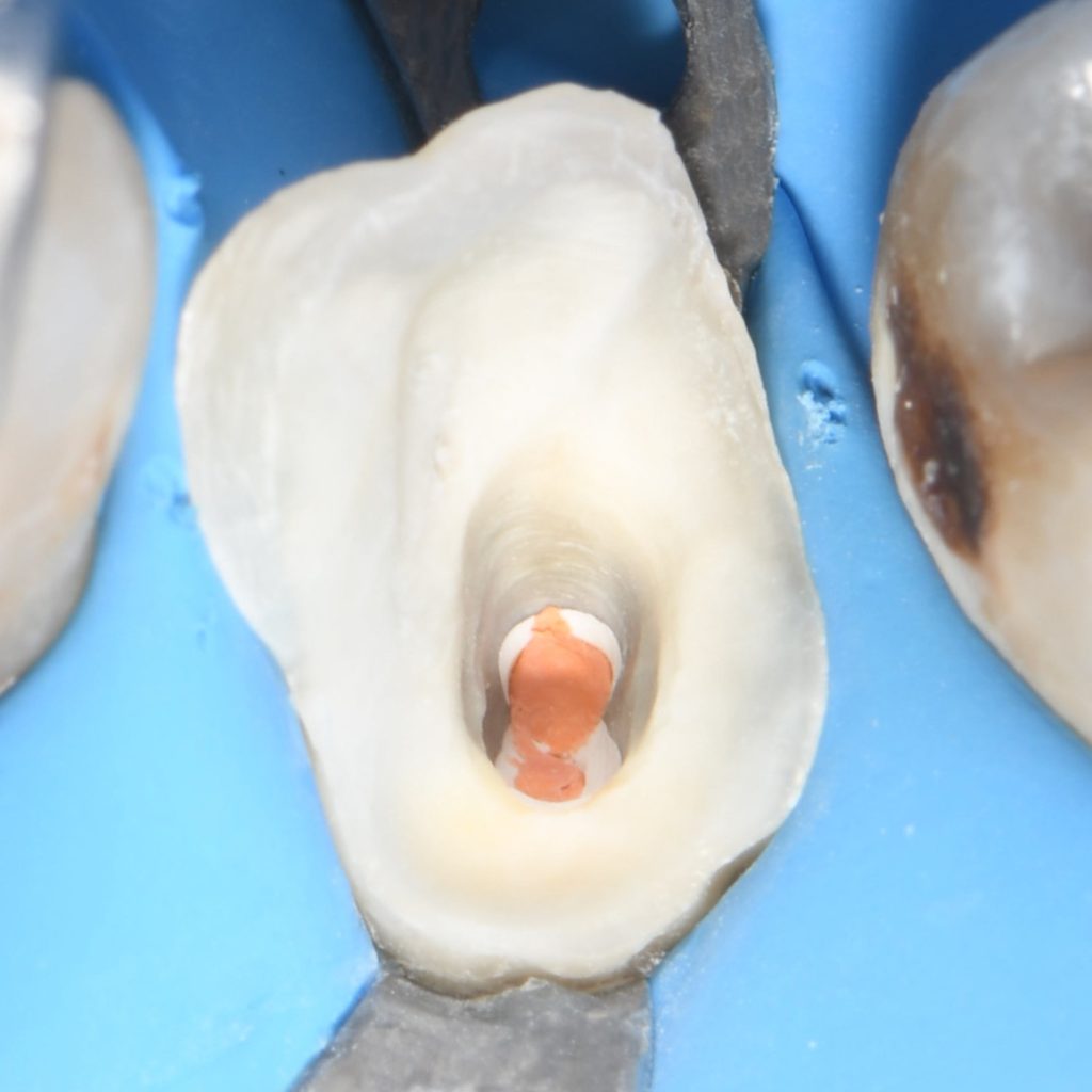 E46626A1-5889-471D-962B-69010BB06508