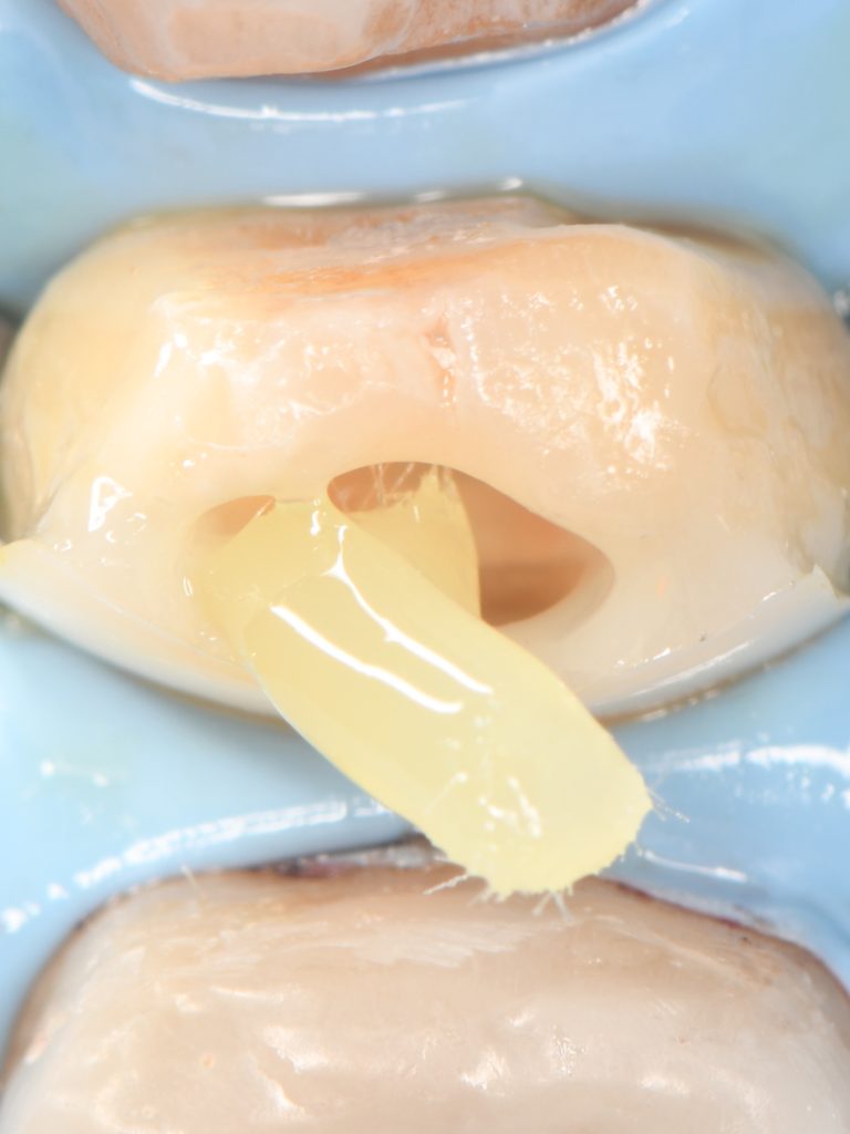 EC6E0495-D24F-405C-9BD0-4E300BCEACBE