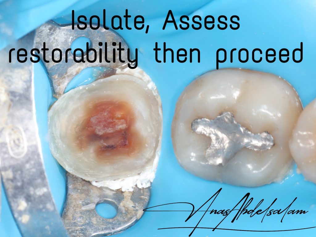 Picsart_25-01-02_11-44-10-274