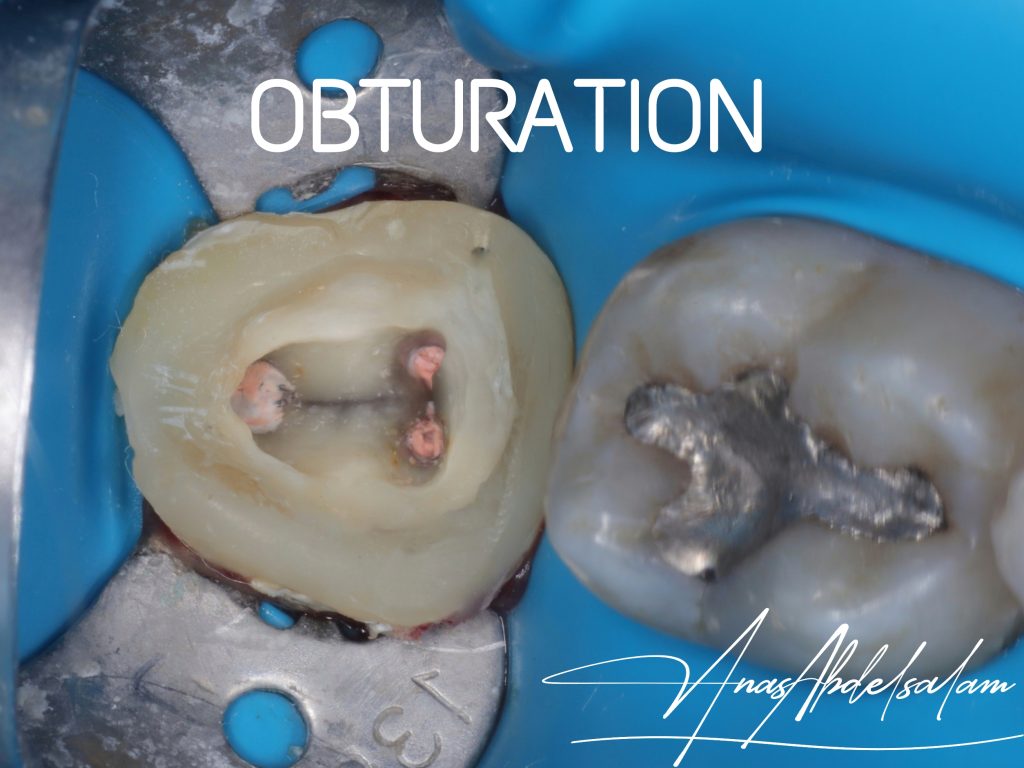 Picsart_25-01-02_12-42-54-916