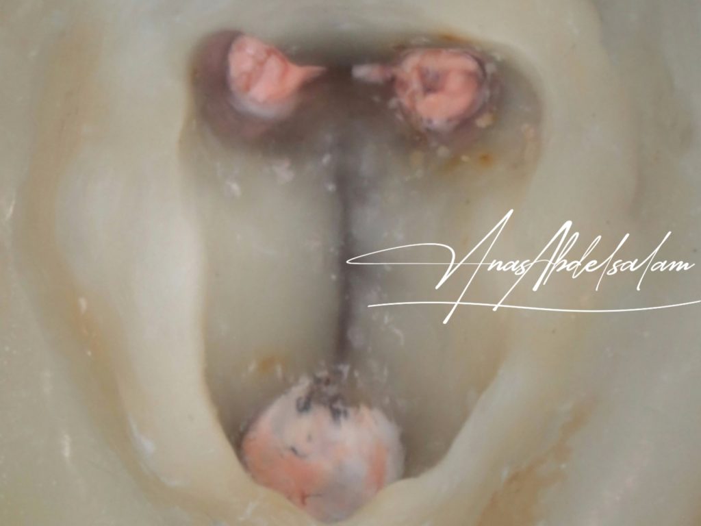 Picsart_25-01-02_12-45-12-705