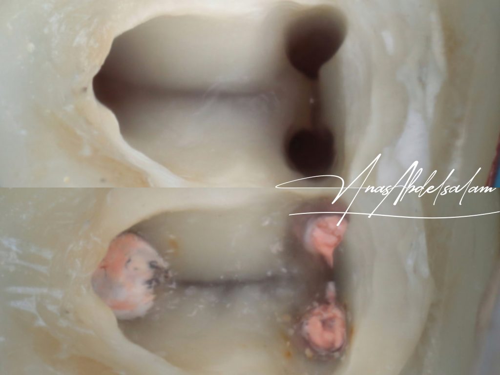 Picsart_25-01-02_12-49-21-135