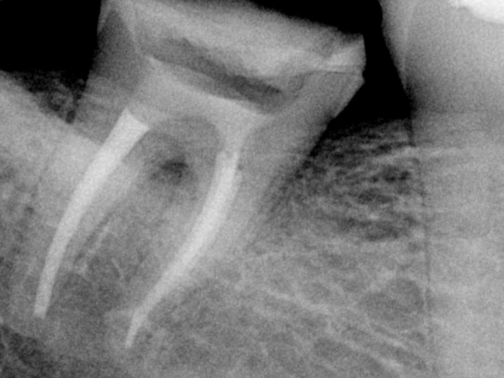 Picsart_25-01-02_13-01-12-905