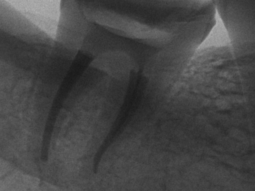 Picsart_25-01-02_13-01-43-637