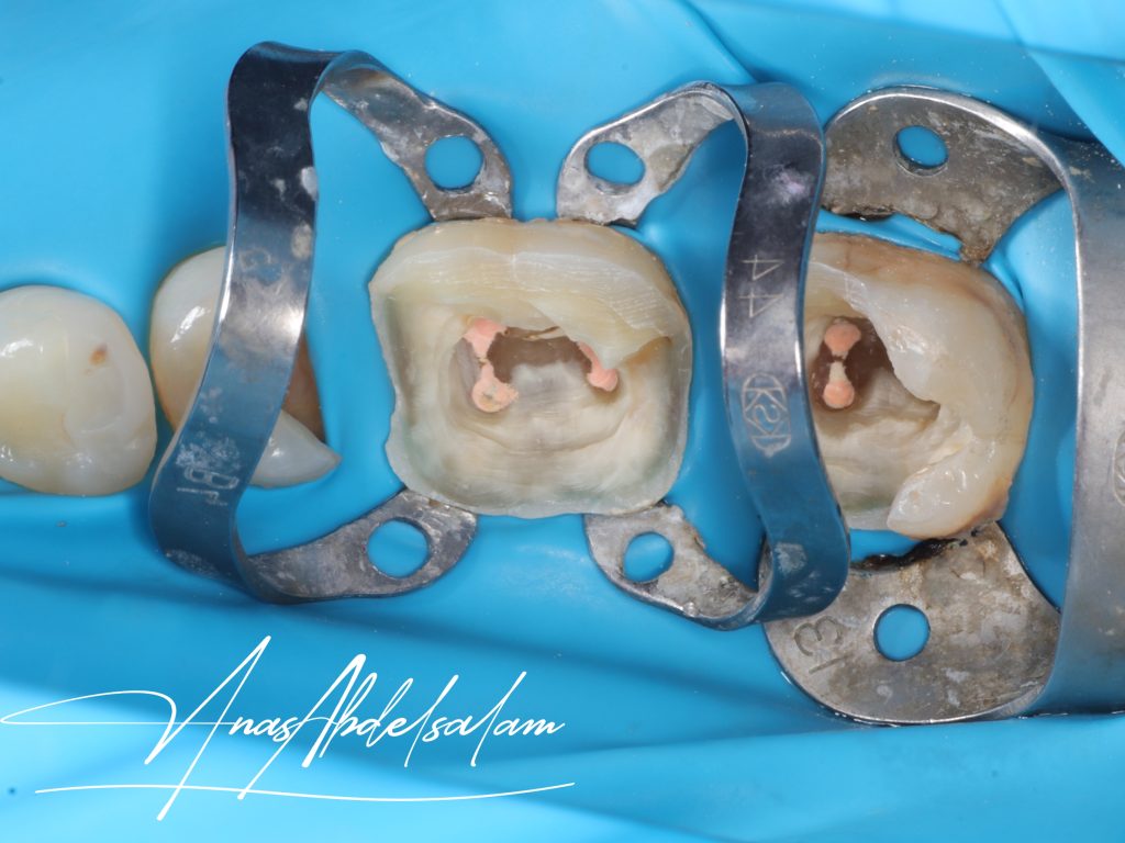 Picsart_25-01-27_17-16-46-509