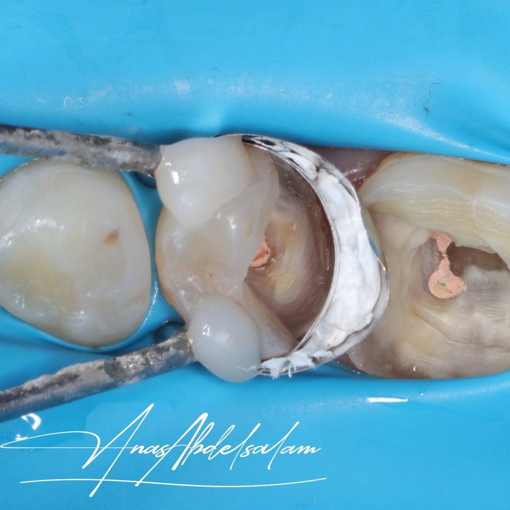 Picsart_25-01-27_17-19-41-931