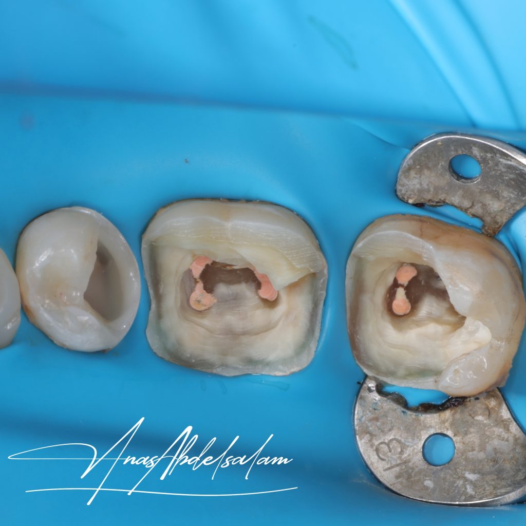 Picsart_25-01-27_17-21-33-451