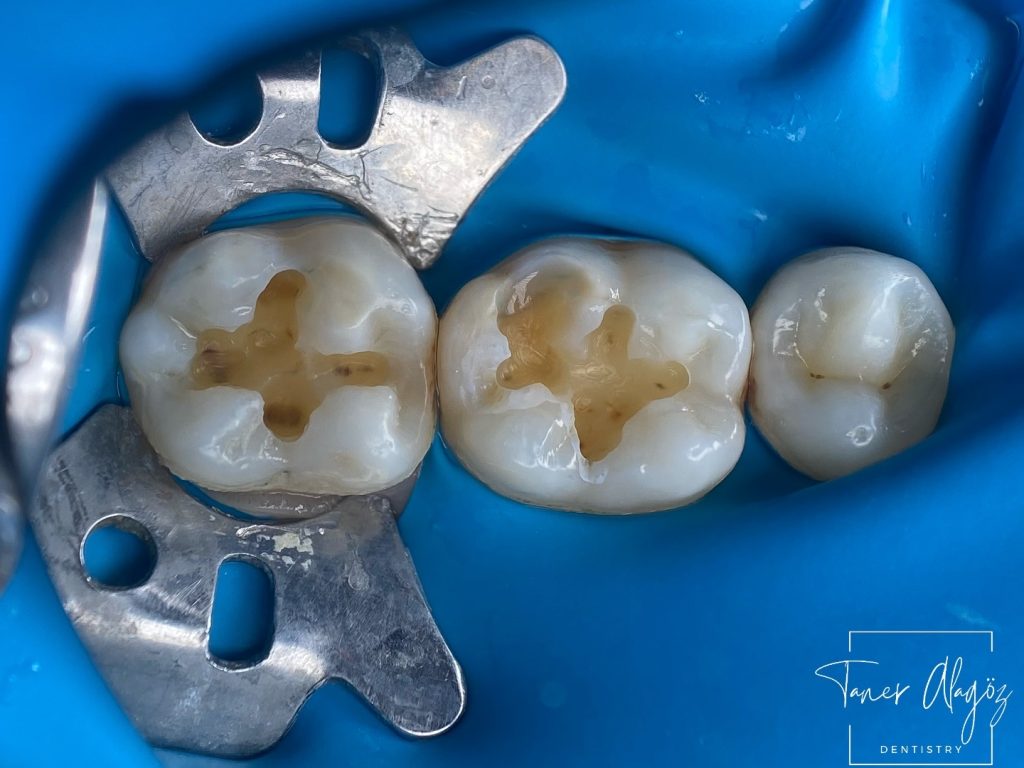 05F341D8-22E4-40F6-A81B-3B7C61C90EFA