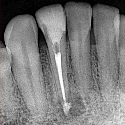 12D1087E-12BC-46A8-8A8C-E60E6EA5C2AE