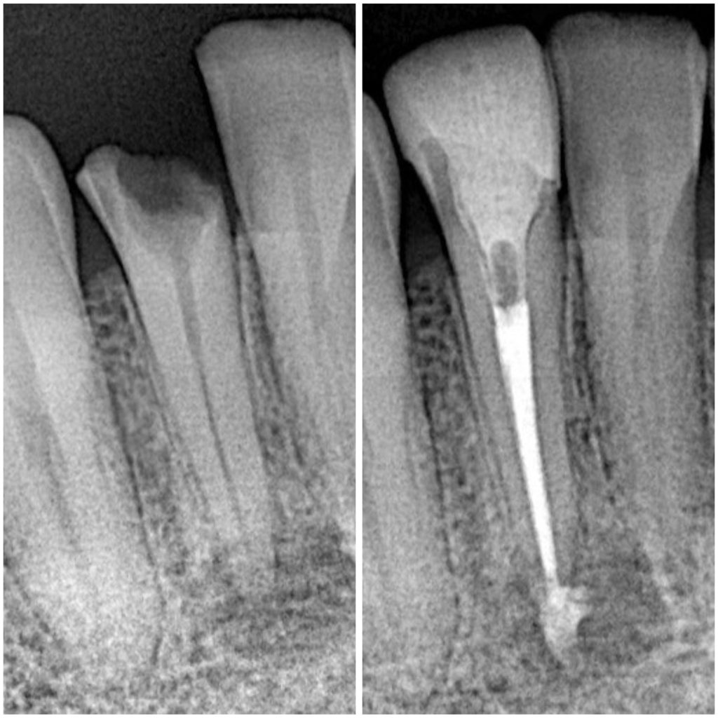 1407D23A-4E0F-448E-B910-D6D44699D427