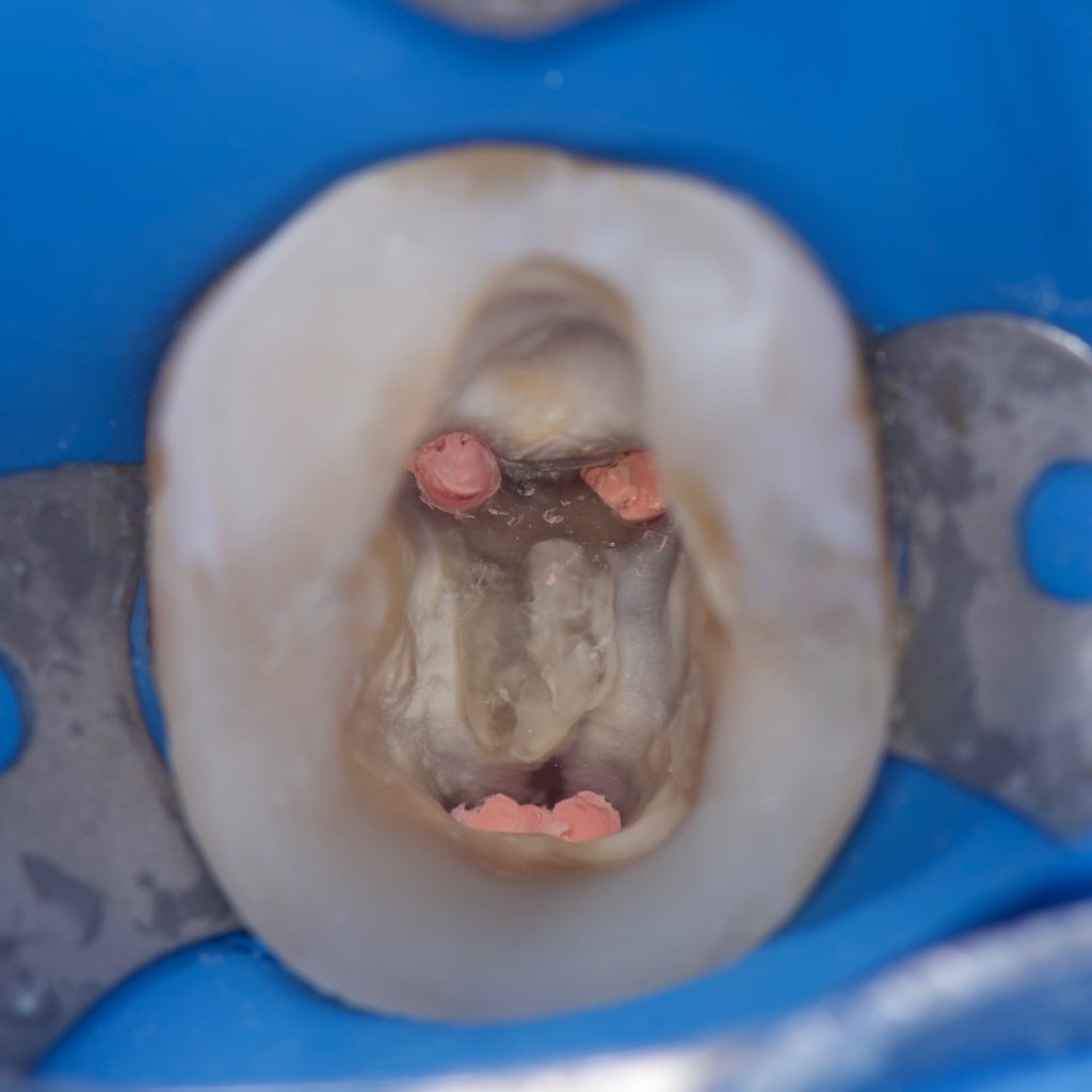 3416D936-4AC1-43BF-949A-4F4B036B7DB1