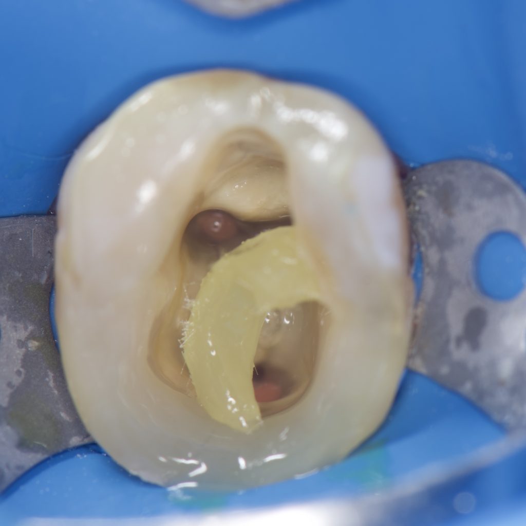 49E7EFD3-6772-4A45-A056-3C57527CA7AB