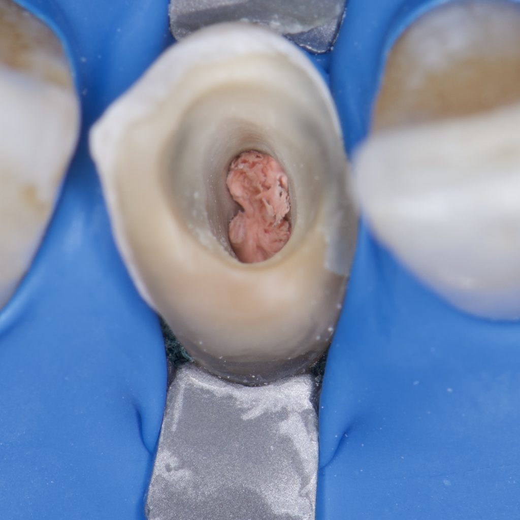 500B5E85-8288-4EB2-97EA-50991B5FE4E2