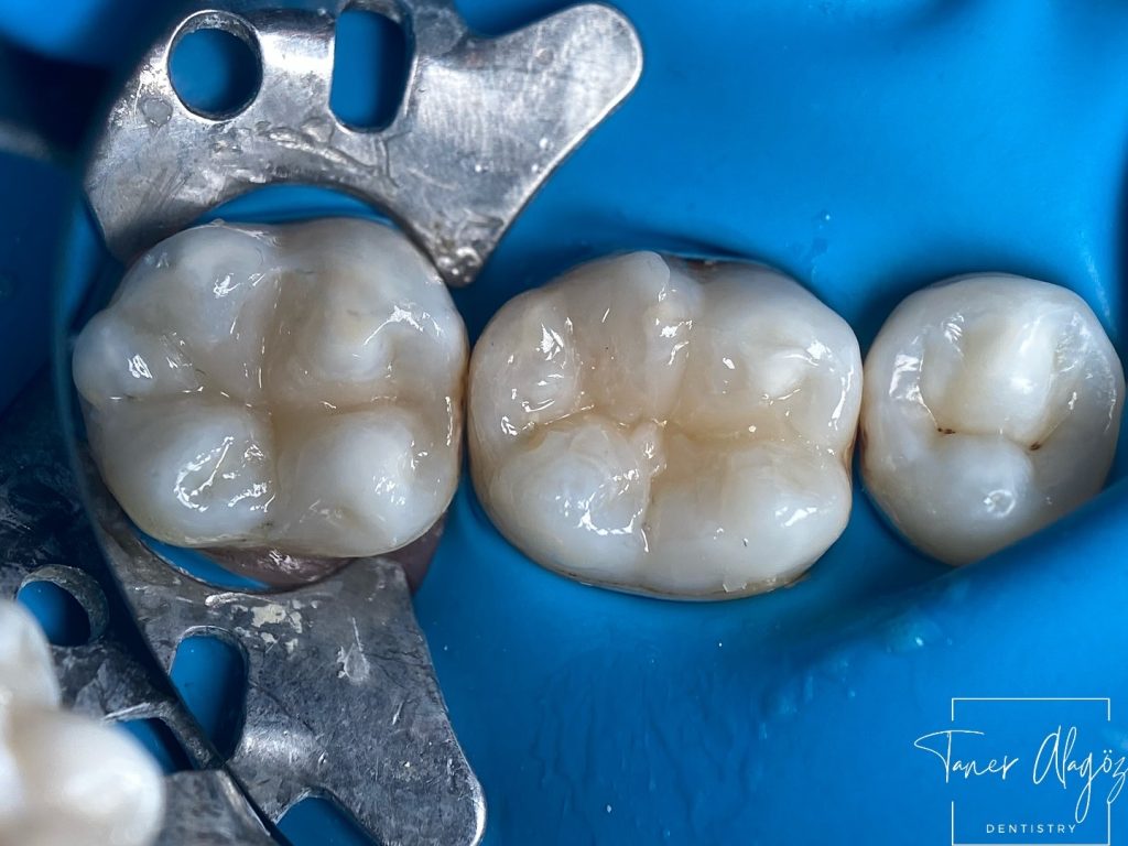 589C297D-583C-4D96-9BCB-CD91031DA73A