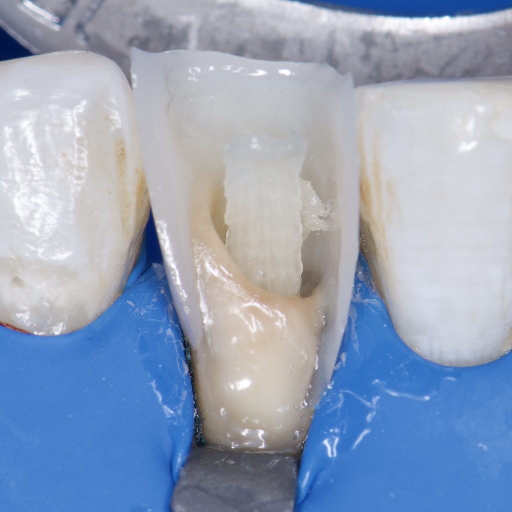 83524009-5E76-4669-B20C-2F6115573E76