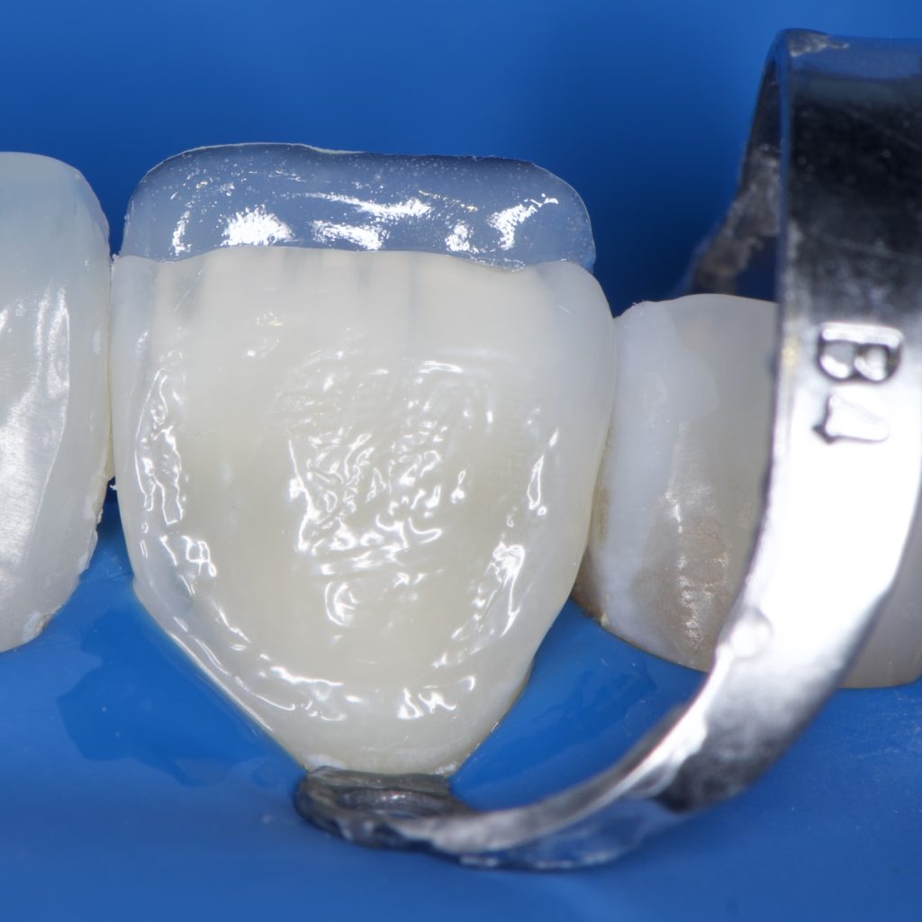 8CB7C3B5-B814-4C06-9203-8852F6107DE8