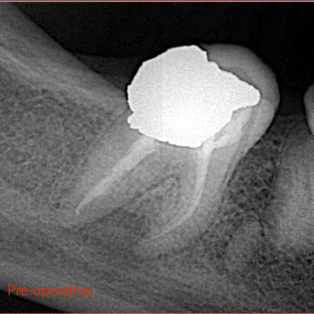 A1769A57-1F88-41EC-8675-87AA0DD5BAC7