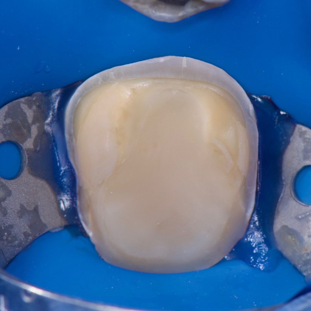 CF96B15E-F56D-46D7-9035-022BE4079AB1