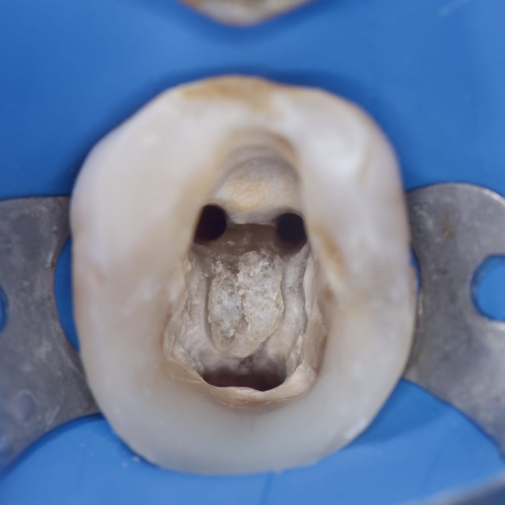 D373A677-3979-456A-BE08-B39B5AC301B9