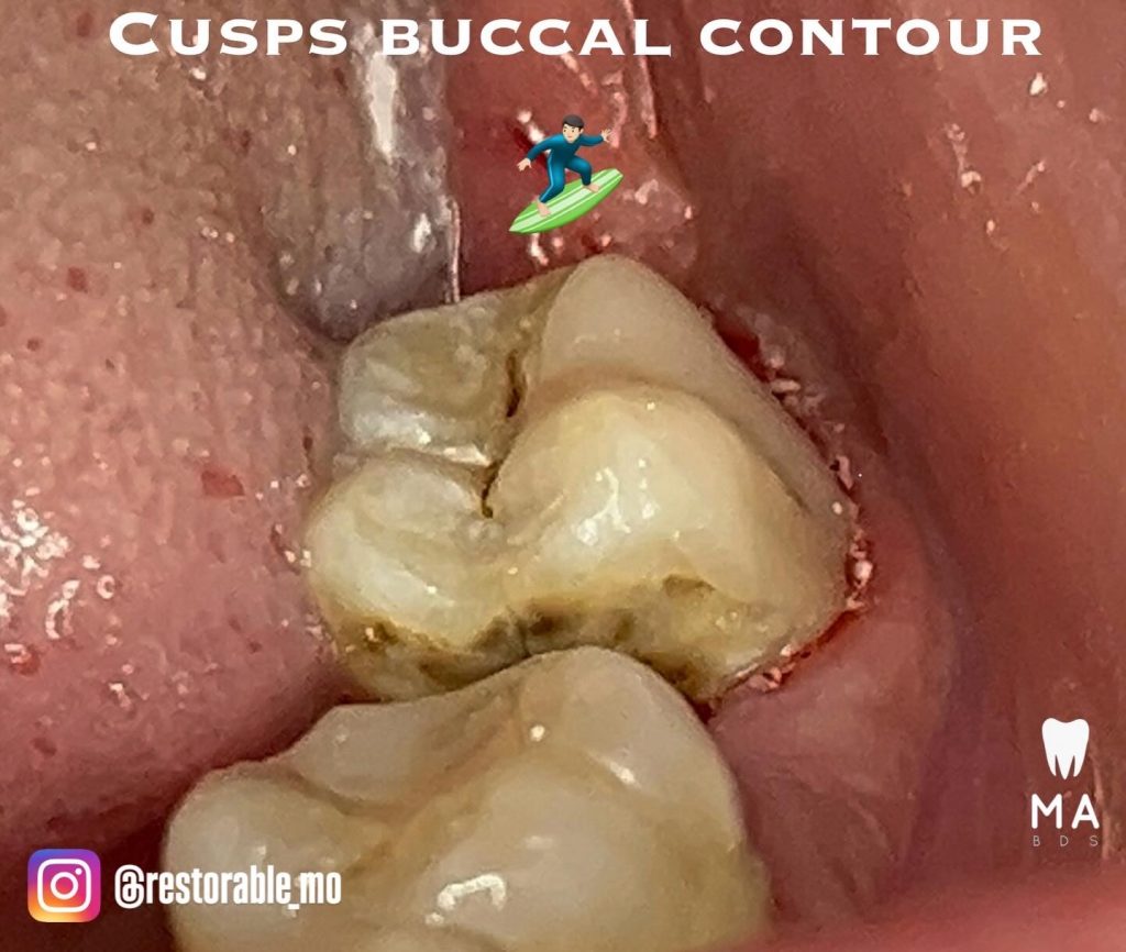 D51D83D2-0465-4944-BDF1-78106FC3597C