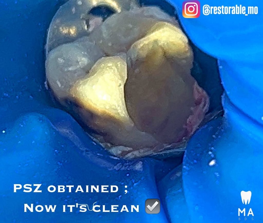 E9147058-B0A4-468D-97F9-E348C3619142