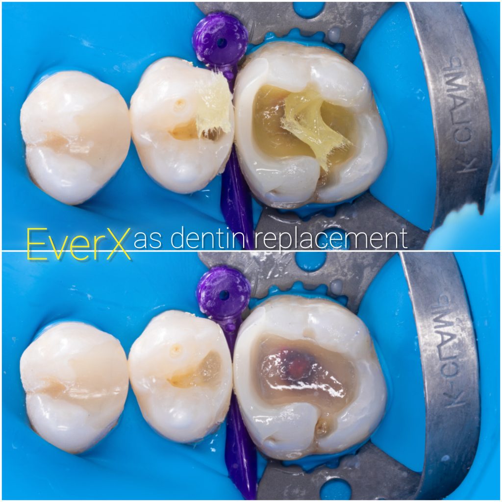 InShot_20241205_183638994