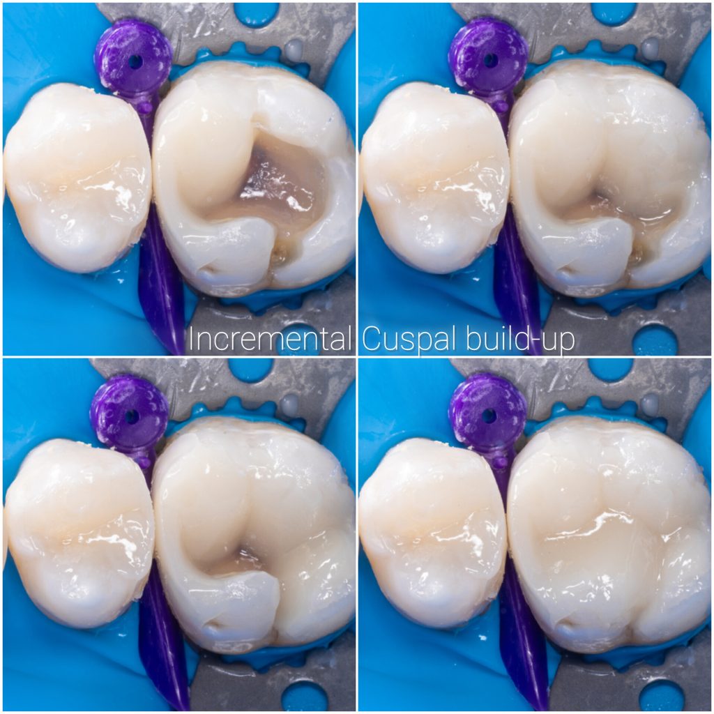 InShot_20241205_183918436