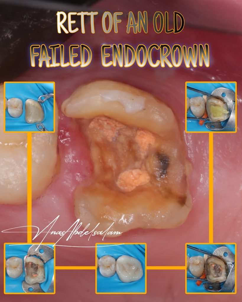 Picsart_25-02-01_17-31-23-879