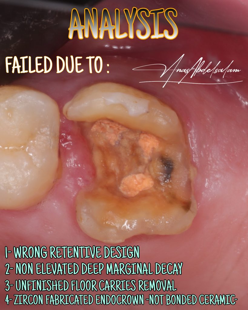 Picsart_25-02-16_00-30-47-795