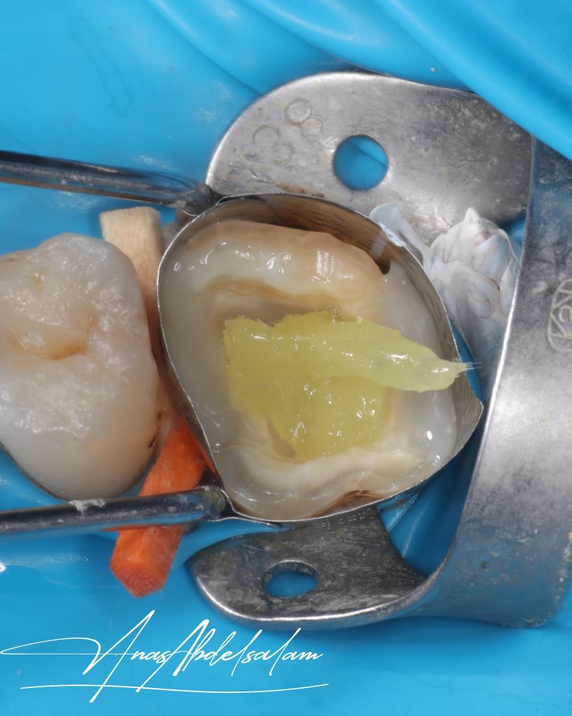 Picsart_25-02-16_00-42-36-296