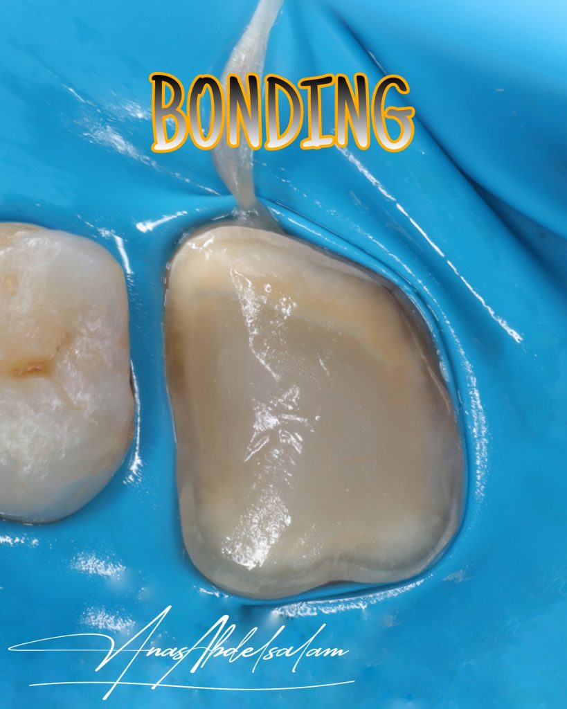 Picsart_25-02-16_00-51-59-898