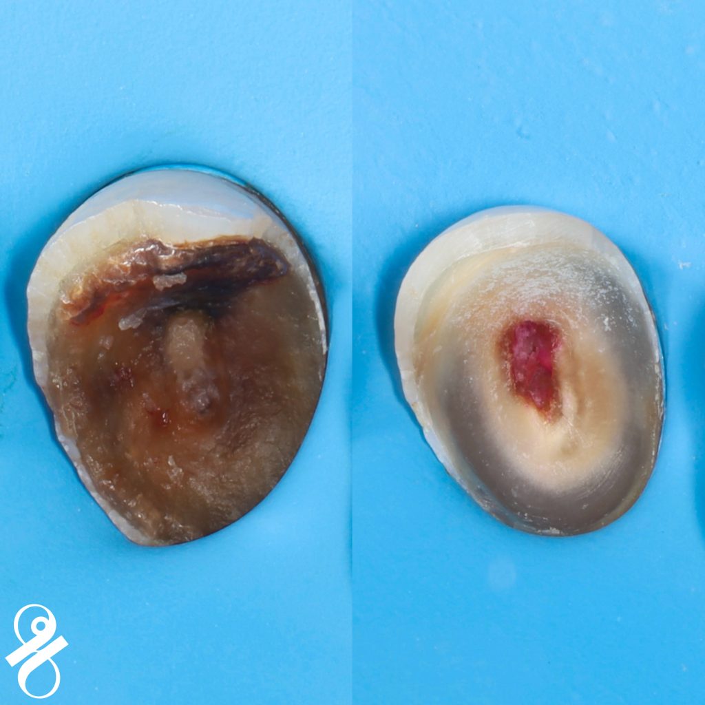 47AFE2AE-DE9E-4871-9EDE-7197A8945CD2