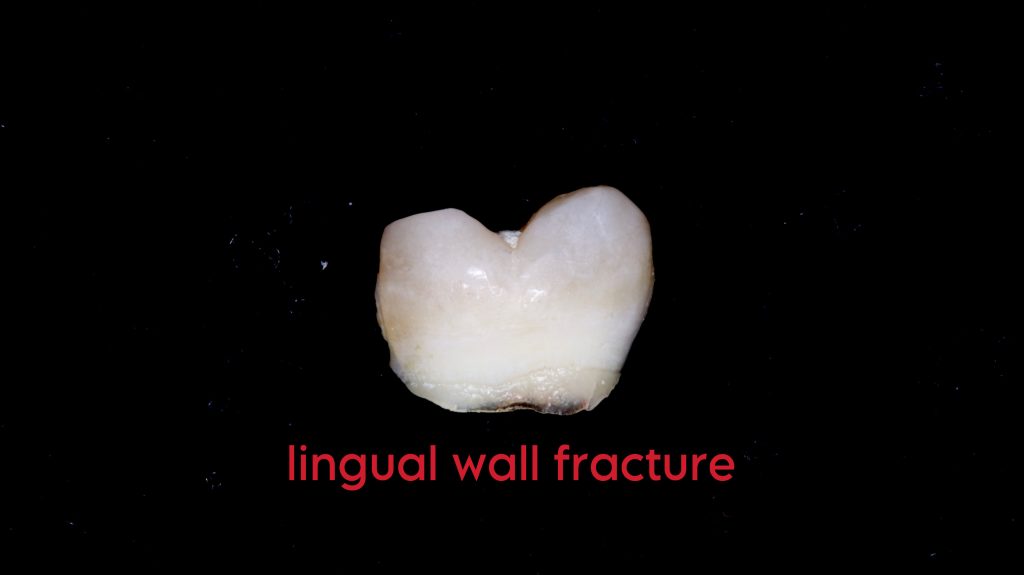 994776F0-B04D-4DD6-B2AB-9EAB6A11F626