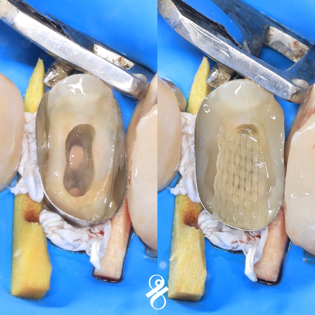 A5798269-5077-4B85-BECD-208F00048D97