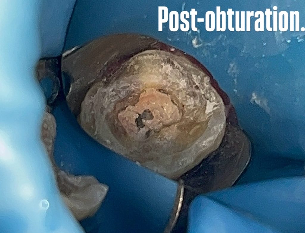 D8482319-E441-4387-878F-C2D64F90BB2D