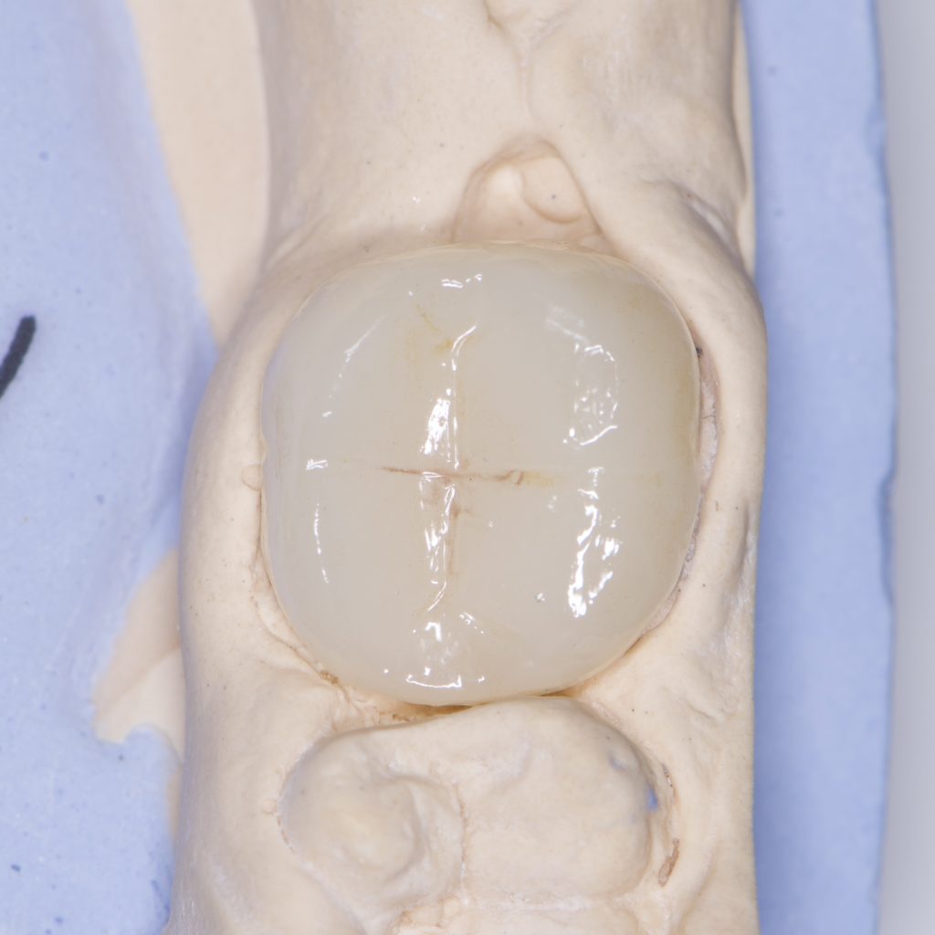 E503E997-740F-41C3-9F02-C9B49BD6C82C