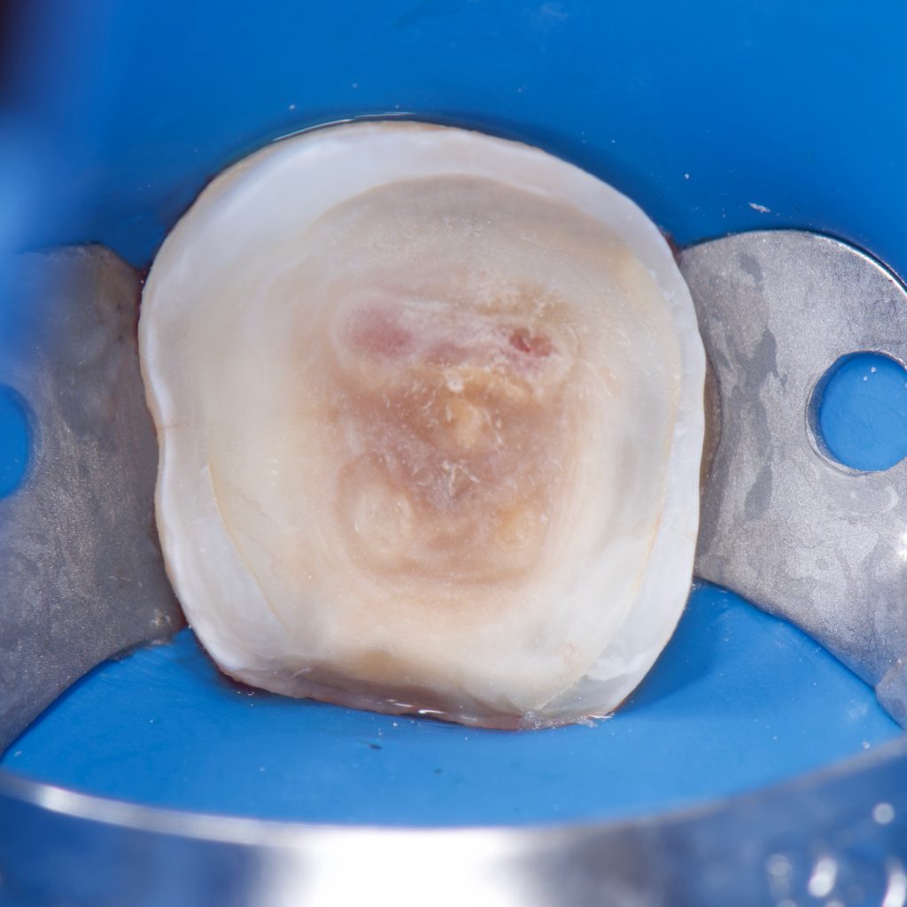 F9828C09-345A-4BEB-9043-C618C2875042