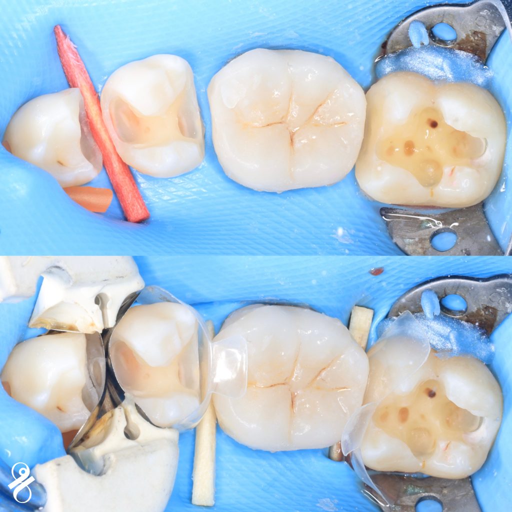 FA8EFC47-6FFD-425B-A08D-FF1DE5E439F3