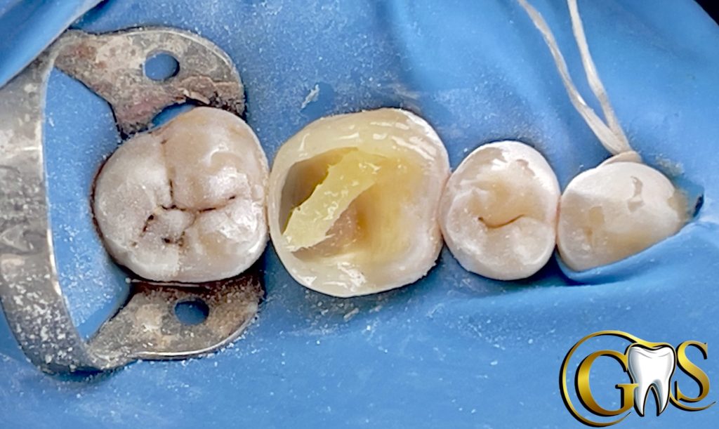 4D56958C-470B-4566-8910-D0547BD5AF27