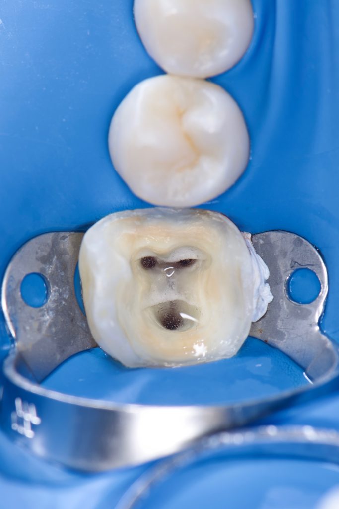 6F30C2A5-1FB7-496A-9EA9-5F2A93F4C848