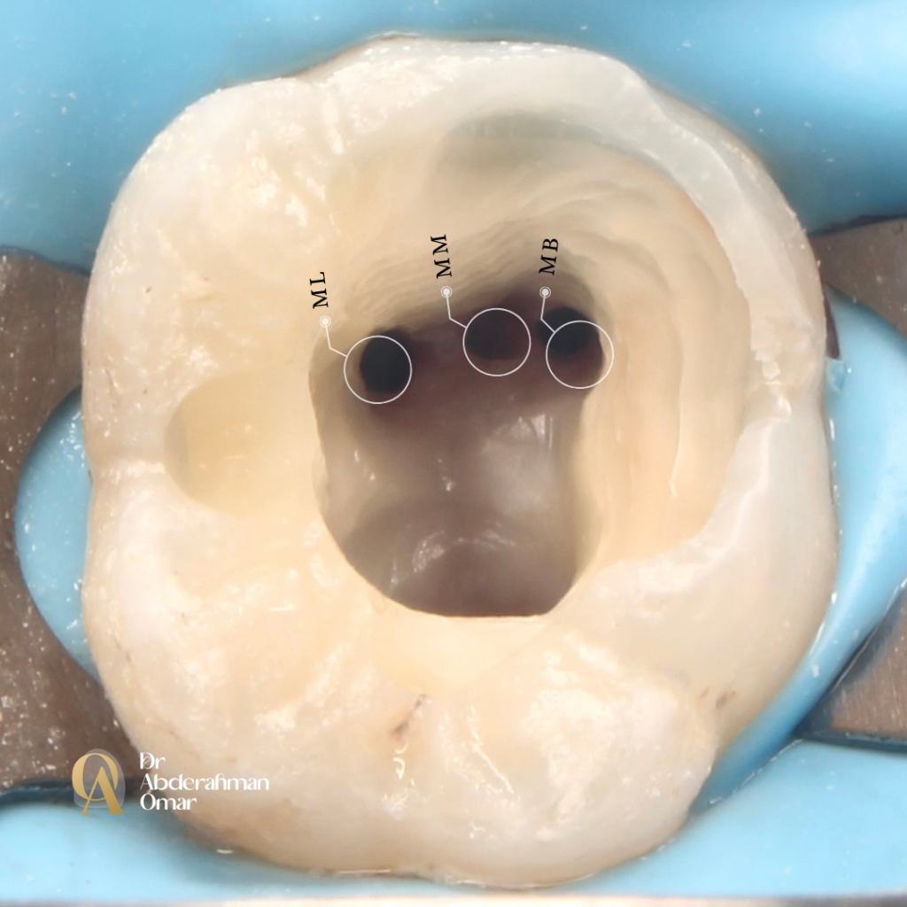 Dr abdelrahman.zip - 36