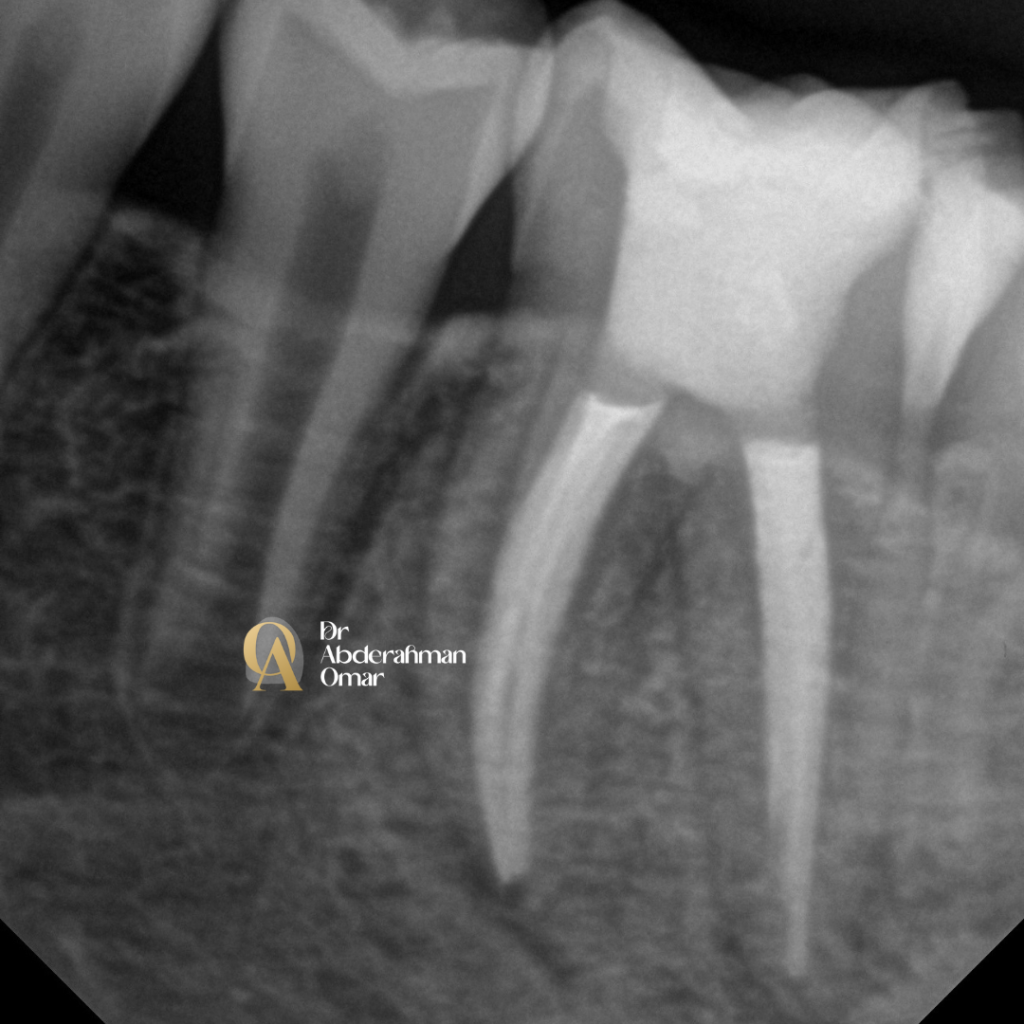 Dr abdelrahman.zip - 44