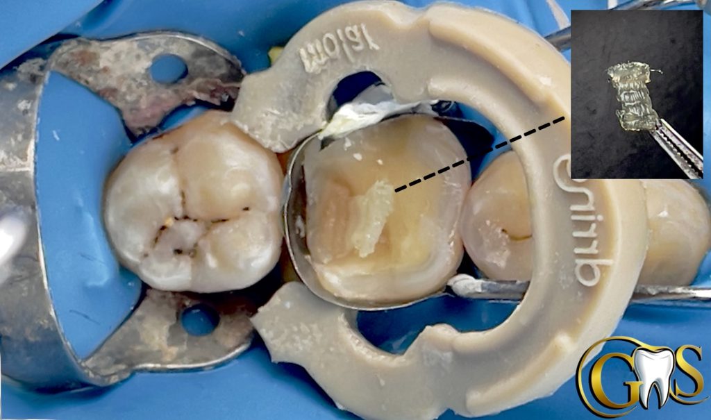 F3CBBB19-A88E-4694-B9B8-76B34D449A31