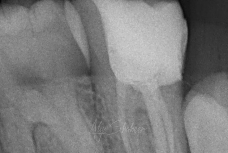 WhatsApp Image 2025-04-20 at 17.03.23_a04e74cf