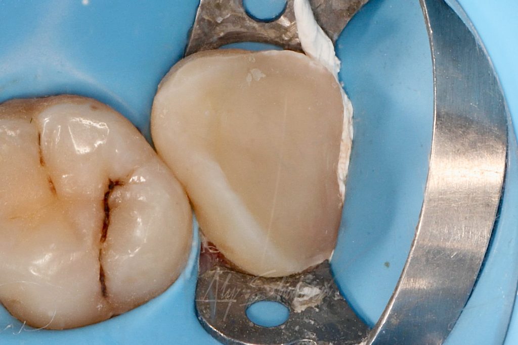 WhatsApp Image 2025-04-20 at 17.10.20_94512d00