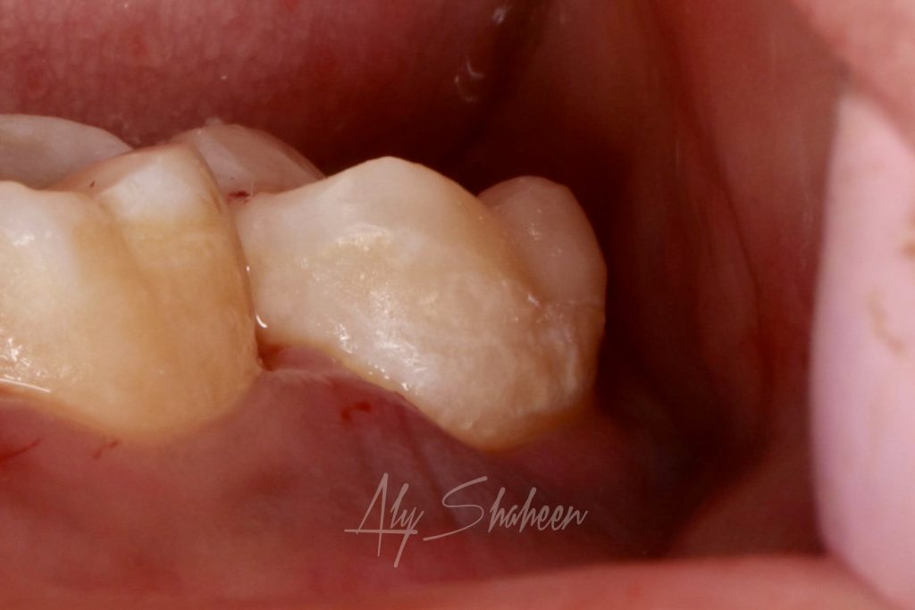 WhatsApp Image 2025-04-20 at 17.10.29_427256ad